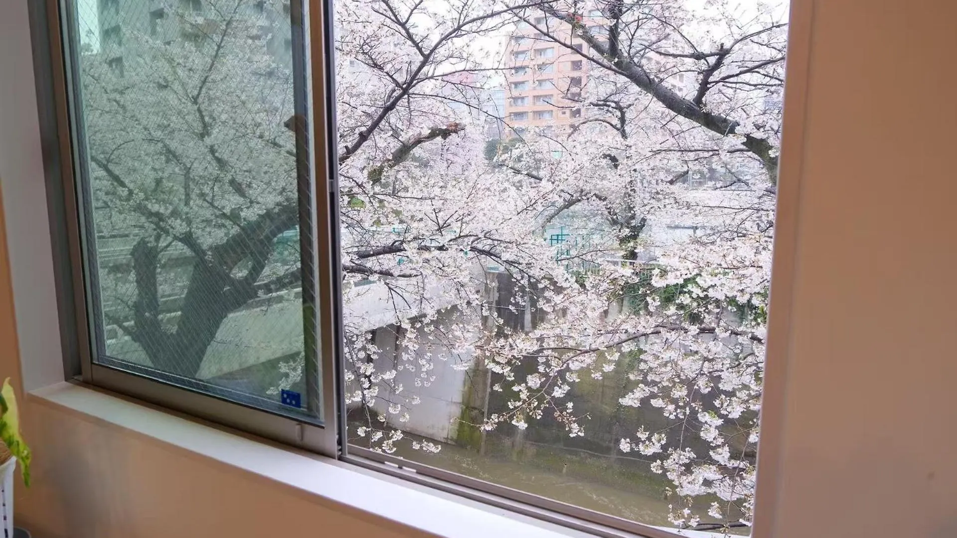Waseda House Aparthotel Tokyo